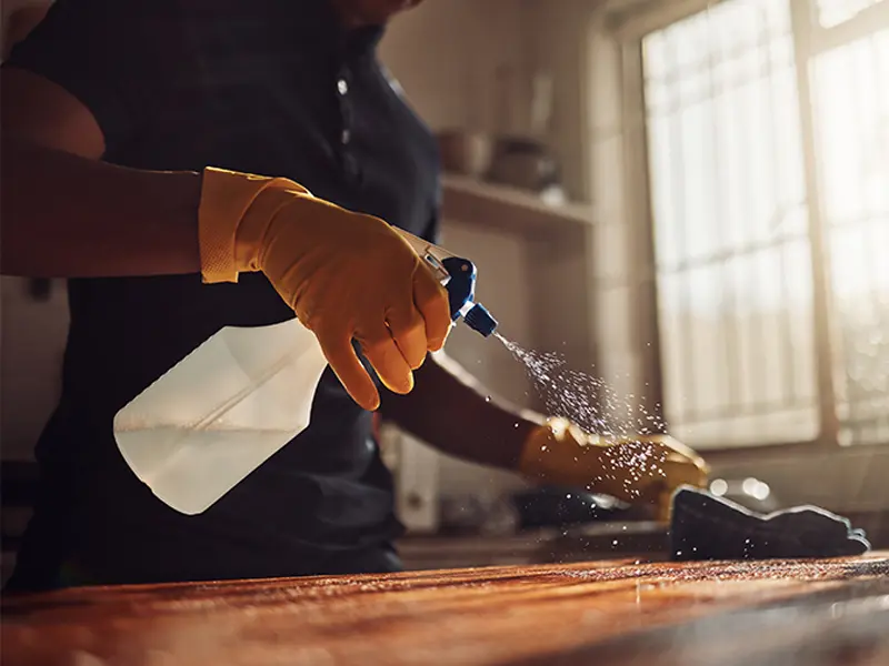 Iris Cleaning Services