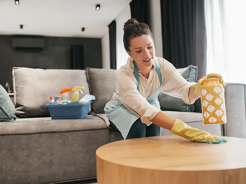 Iris Cleaning Services