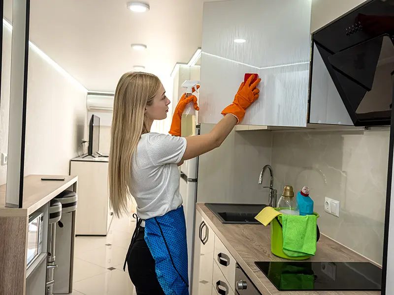 Iris Cleaning Services